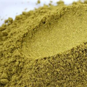 توابل مسحوق الكمون الأرضي